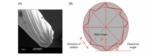 Figure 4. (A) The geometry of a typical tungsten carbide bur. (B) Schematic diagram showing the rake angle relative to the cutting direction. [1]